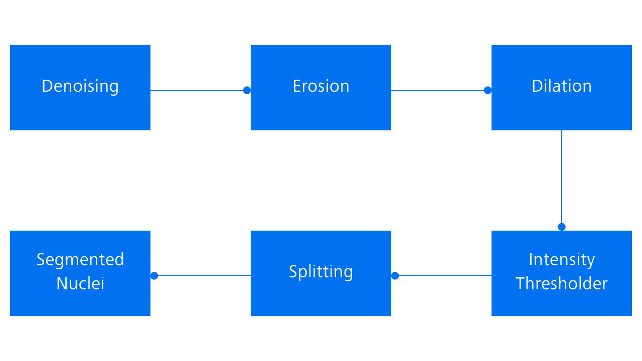 Cell Body Segmentation Pipeline
