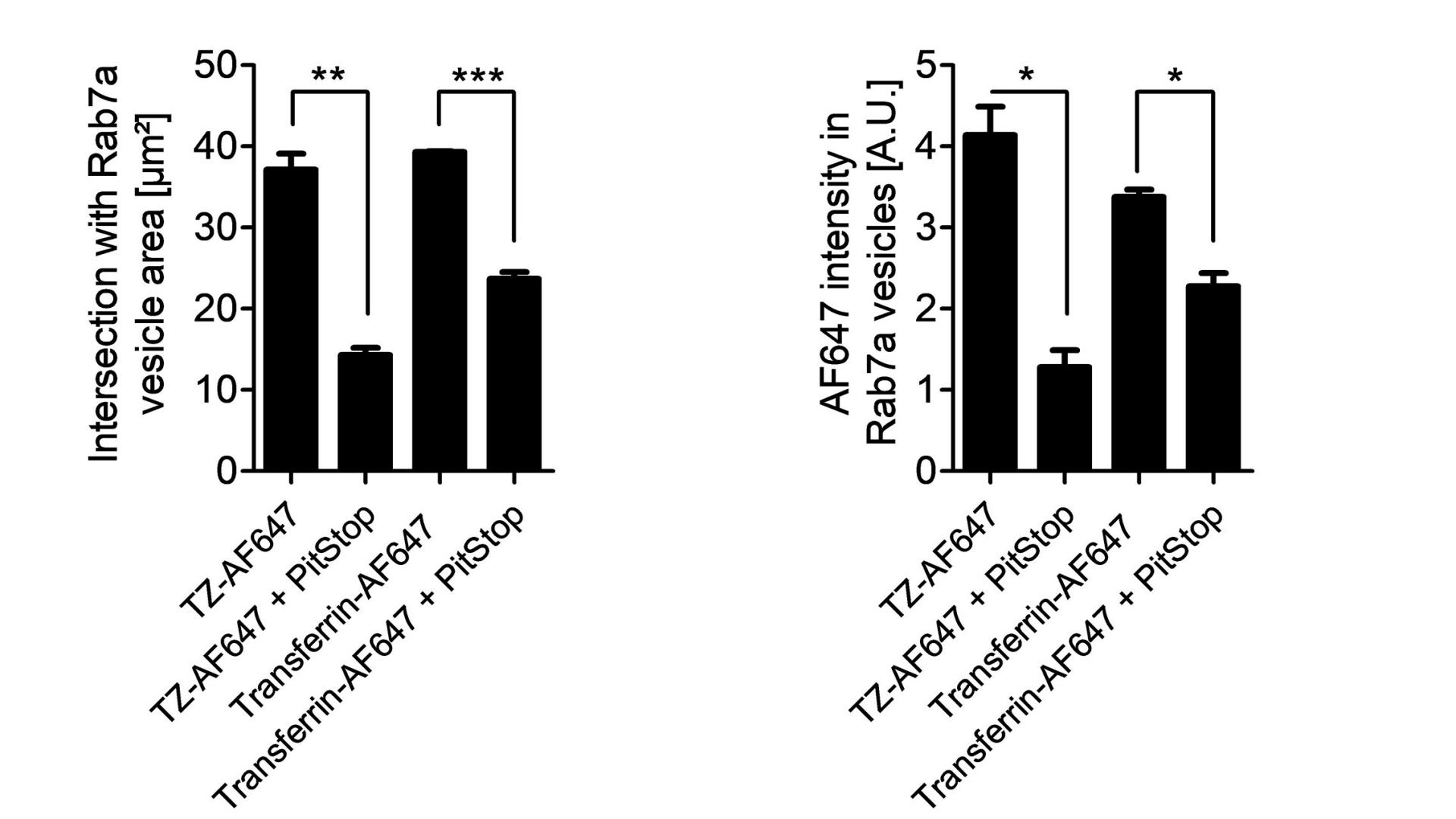 Segment-based read-outs for TZ-AF647 endocytosis
