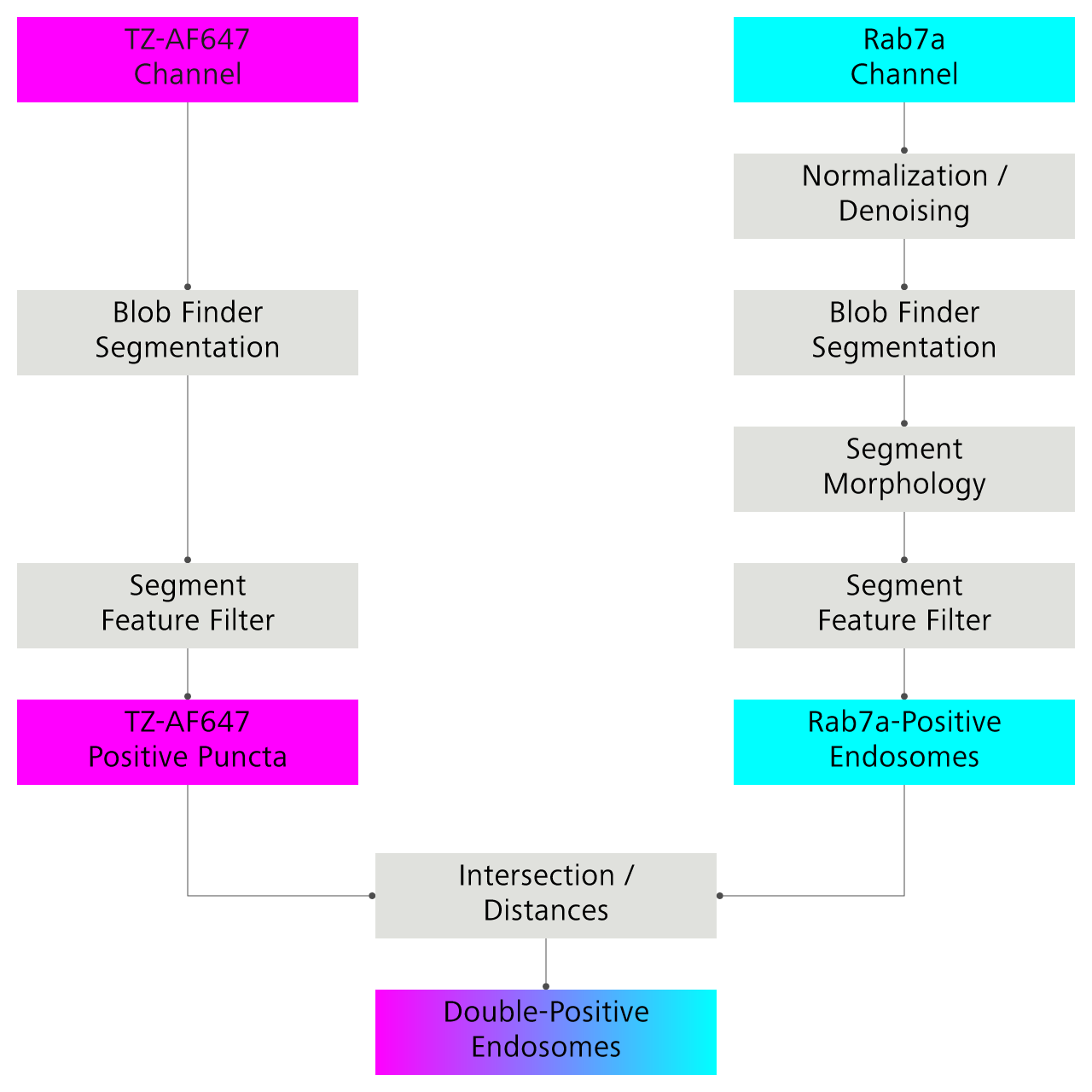 Image analysis pipeline in ZEISS arivis Pro