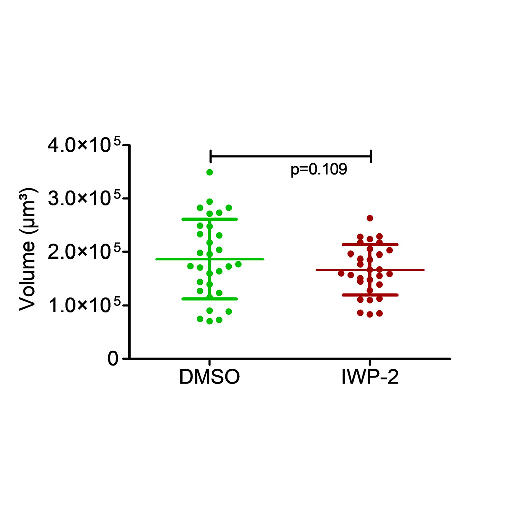 Figure 4B: The volume of the organoid cell layers