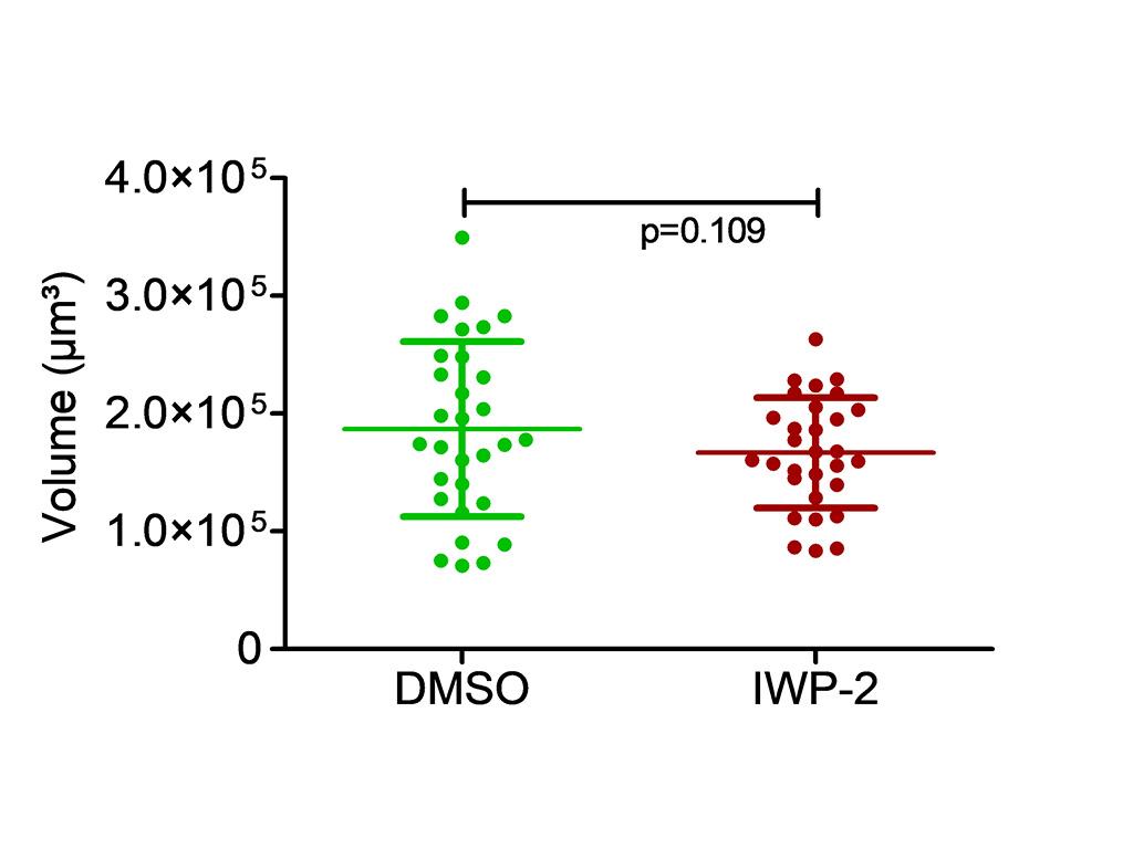 Figure 4B: The volume of the organoid cell layers