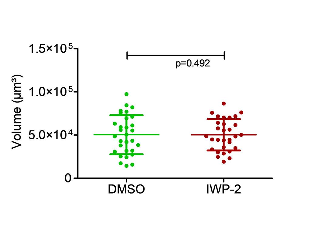 Figure 4C: The volume of the organoid inner lumen