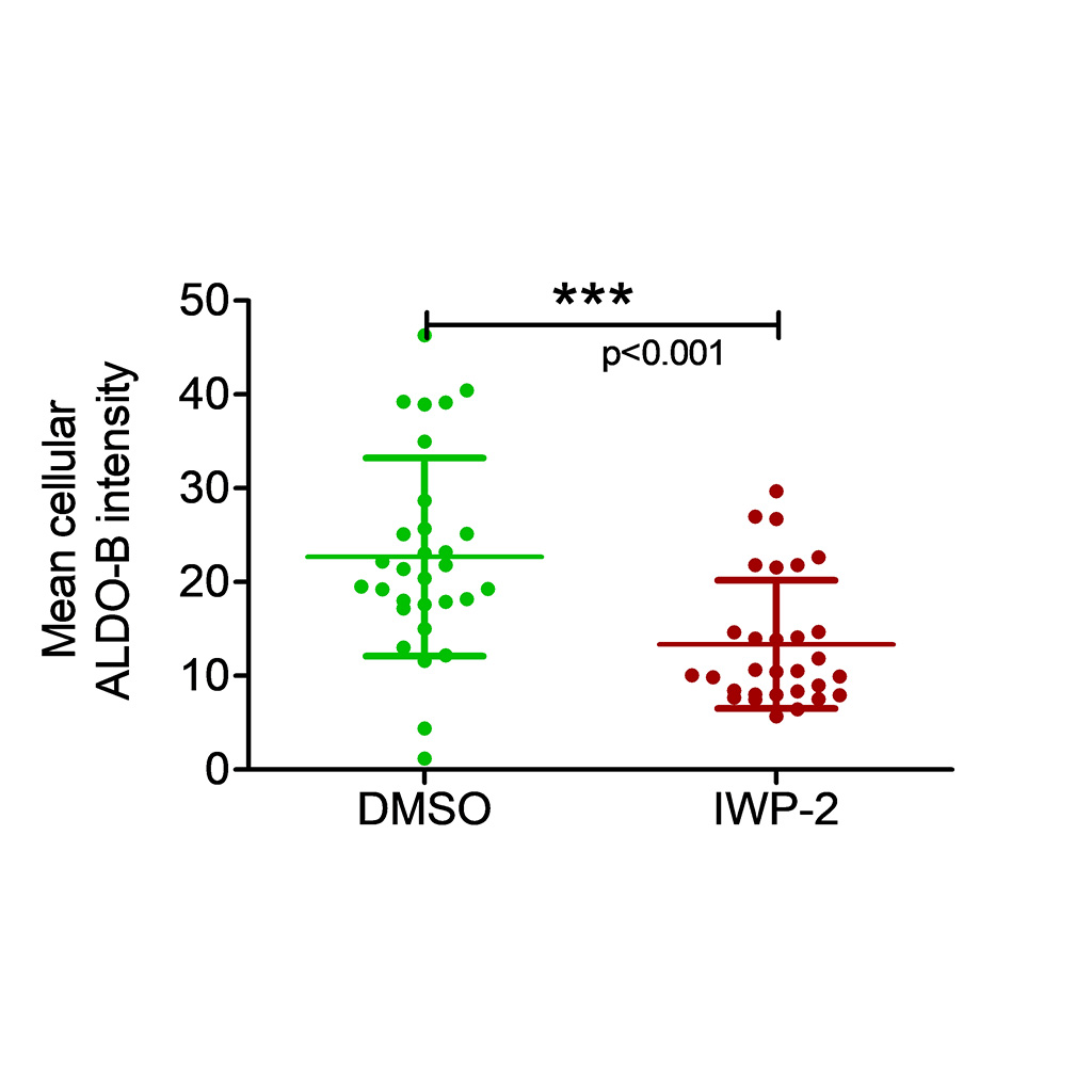 Figure 6C: Average cellular mean Aldolase B intensity