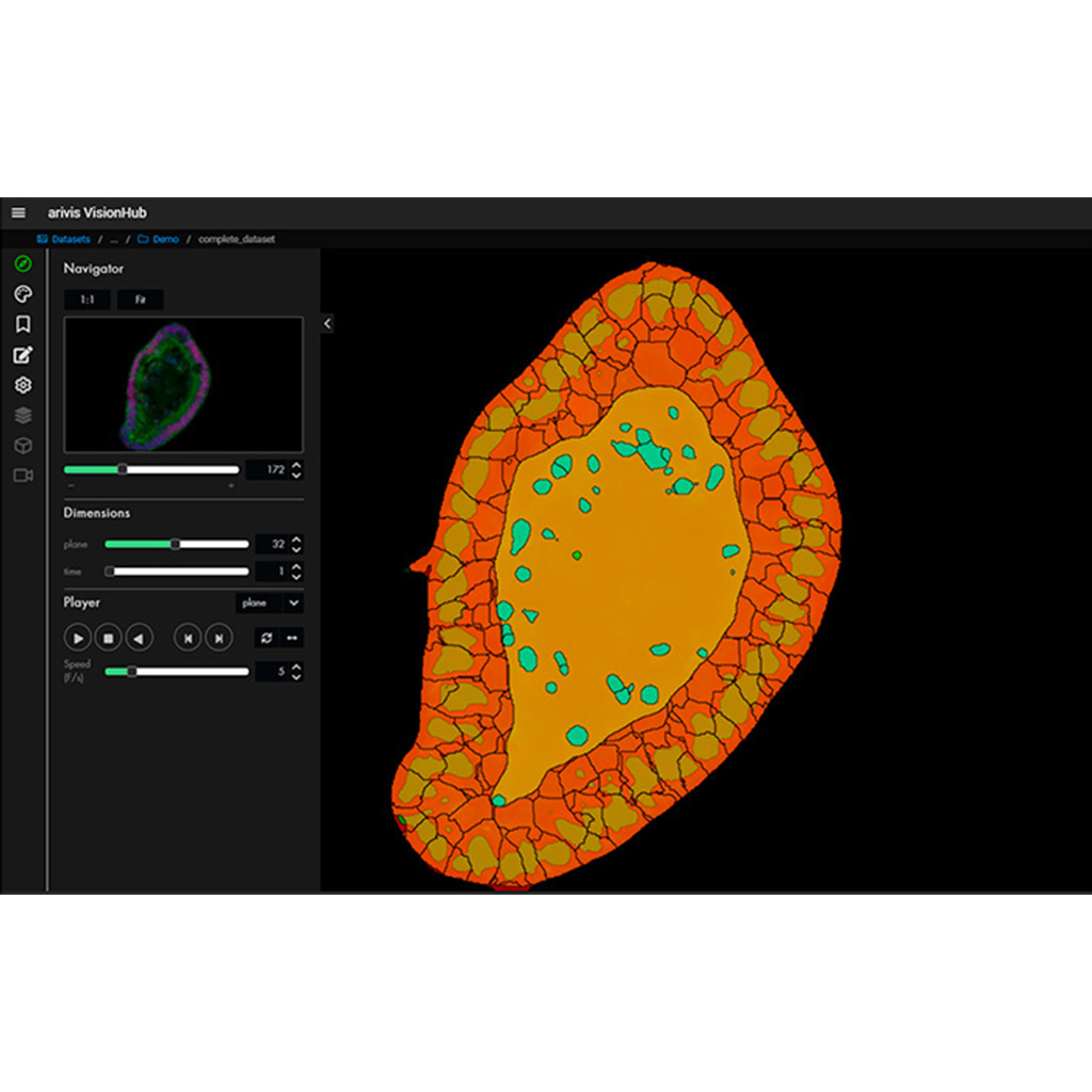 Figure 8C: Results in VisionHub. All analysis results are available in VisionHub