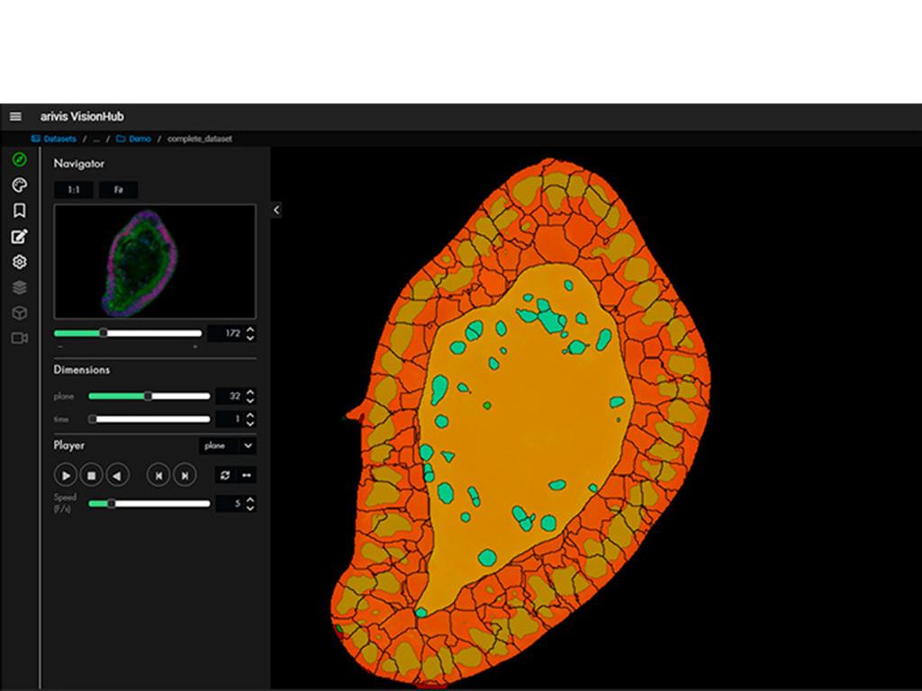 Figure 8C: Results in VisionHub. All analysis results are available in VisionHub