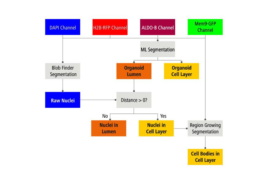 Image Analysis Pipeline