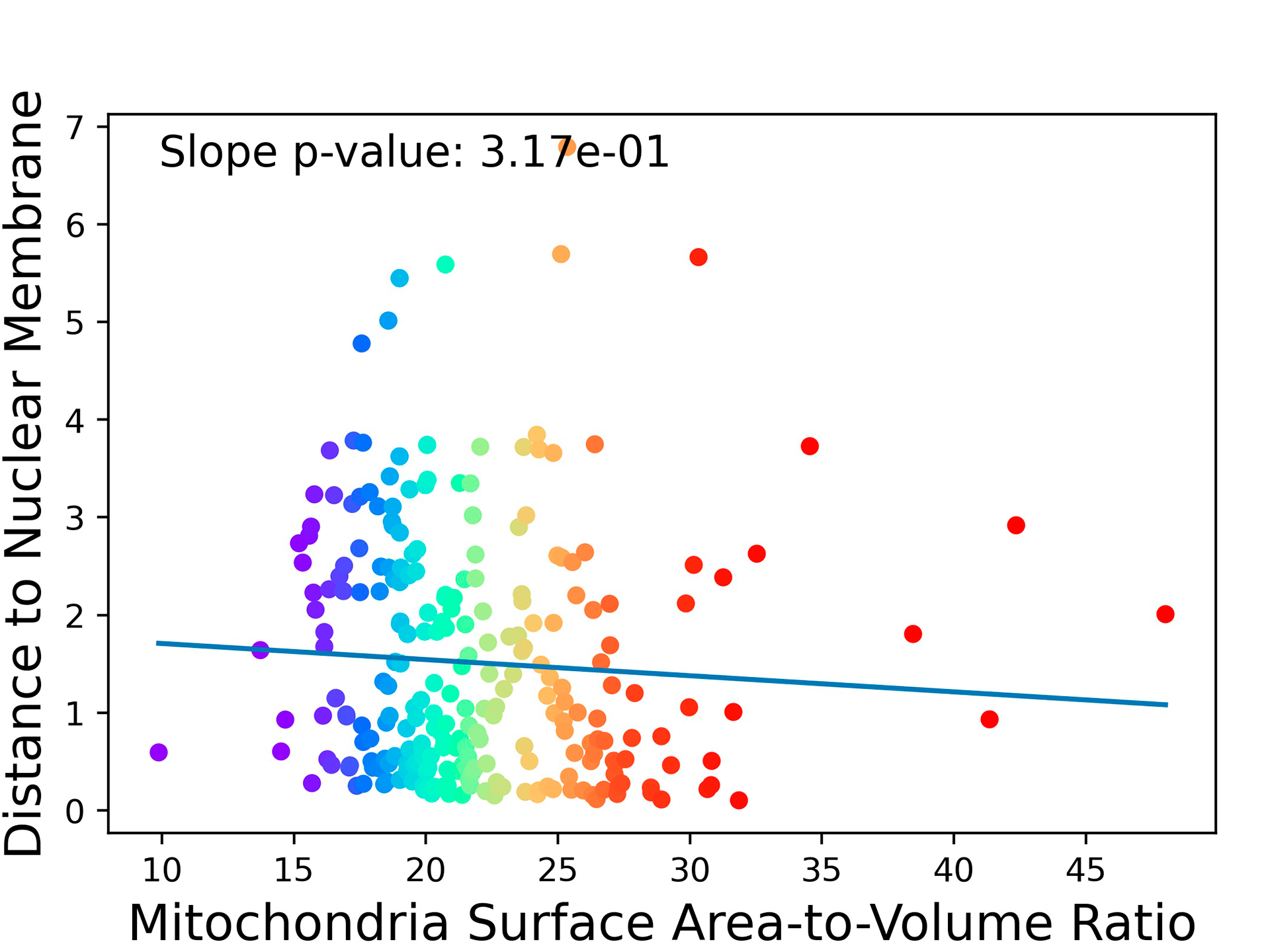 Mitochondrial distance to the nuclear membrane