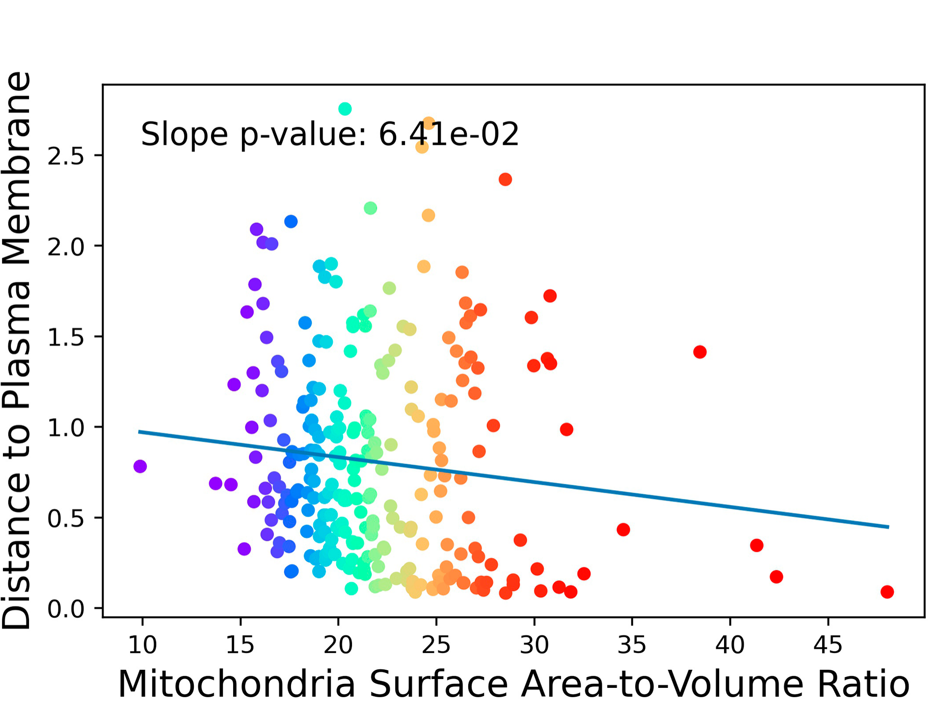 Mitochondrial distance to the plasma membrane