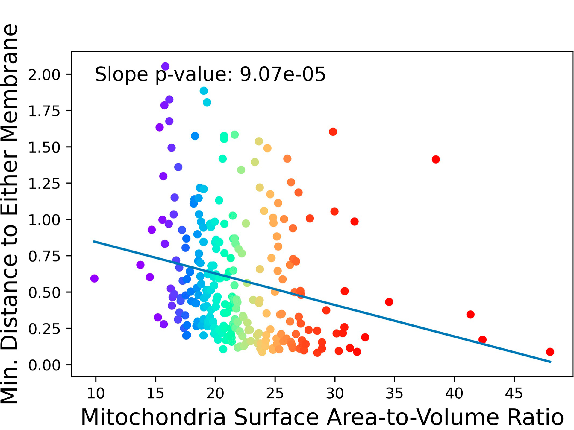 Nuclear and plasma membrane minimum distance