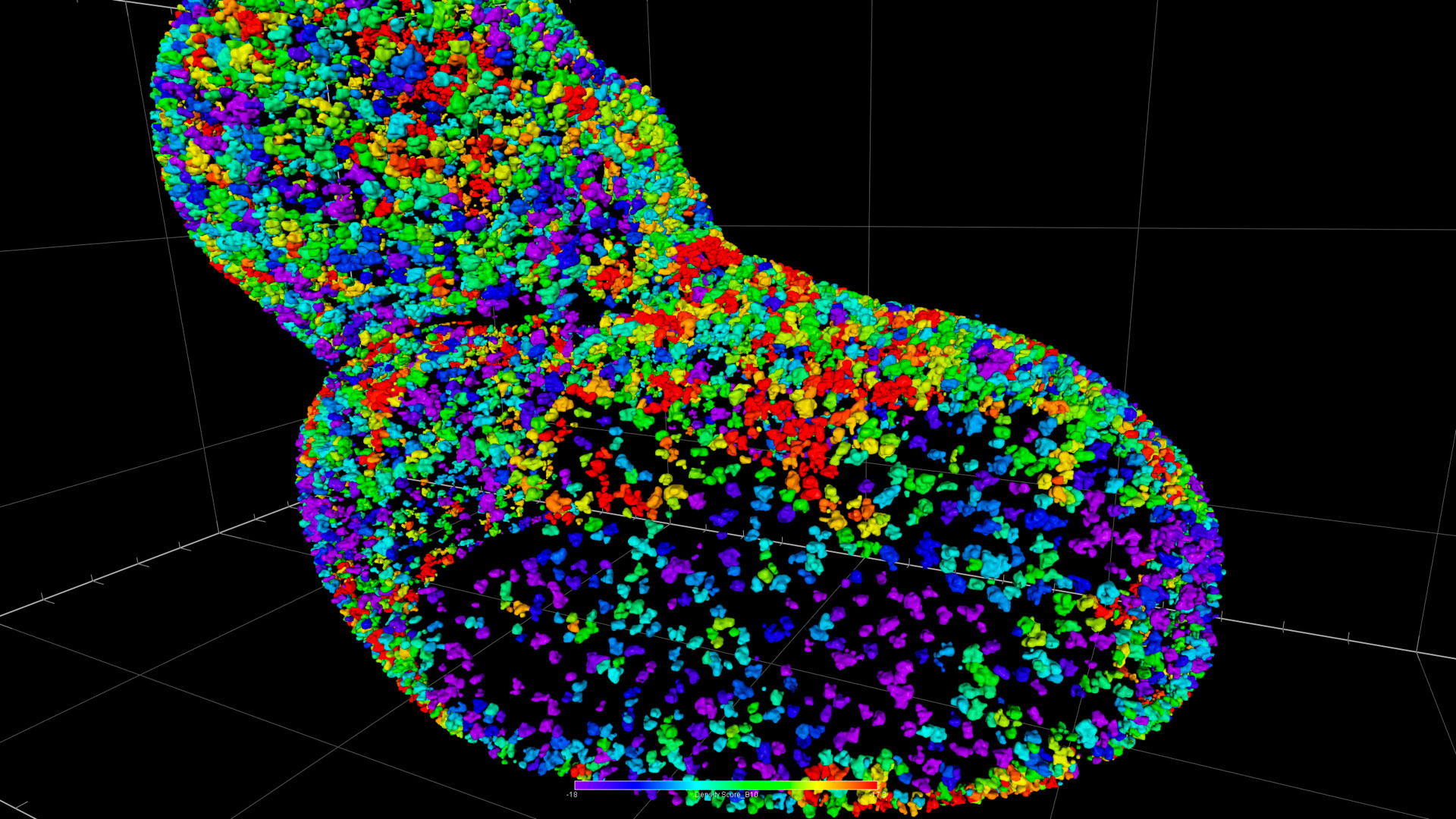 Nuclear pore complexes (NPCs) have variable density distribution across areas of the nucleus