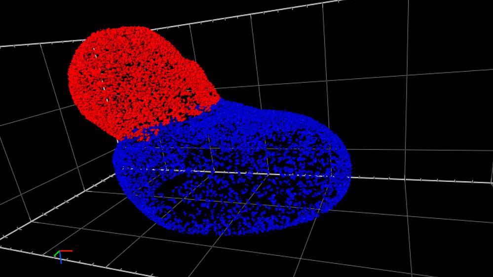 The density distribution of NPCs is significantly different across separate areas of the nucleus