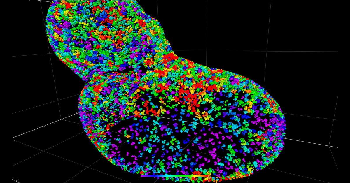 AI Image Analysis for Volume Electron Microscopy