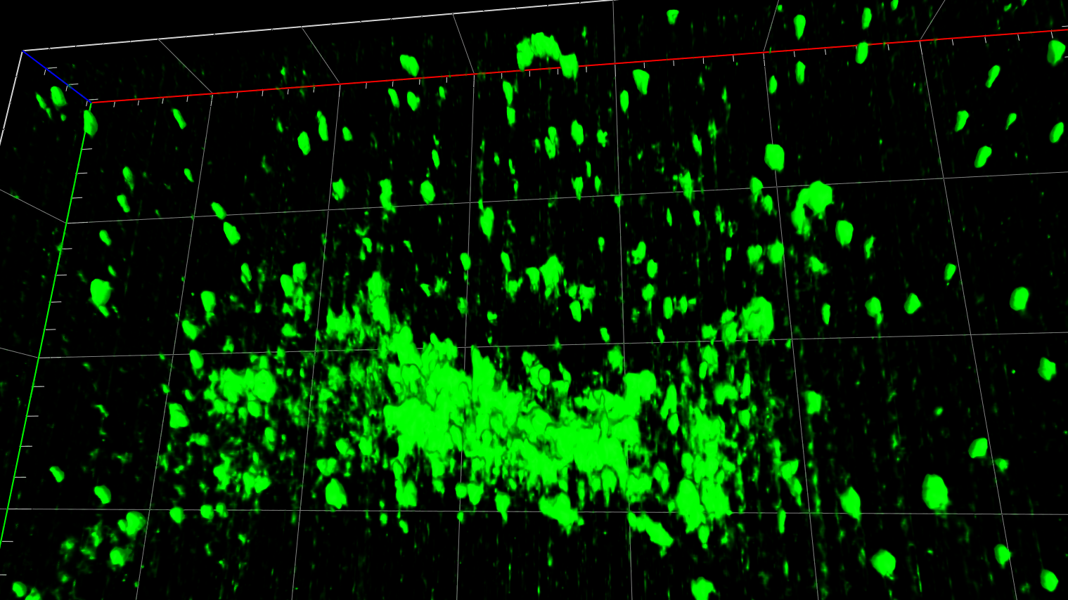 Figure C: Single time-point 3D view of data set. Single channels and merge image are shown. Note the (complete) overlap of Golgi7-labelled vesicles with a fraction of the Rab5a-labelled vesicles. Also note “striping artefacts” in the green channel.