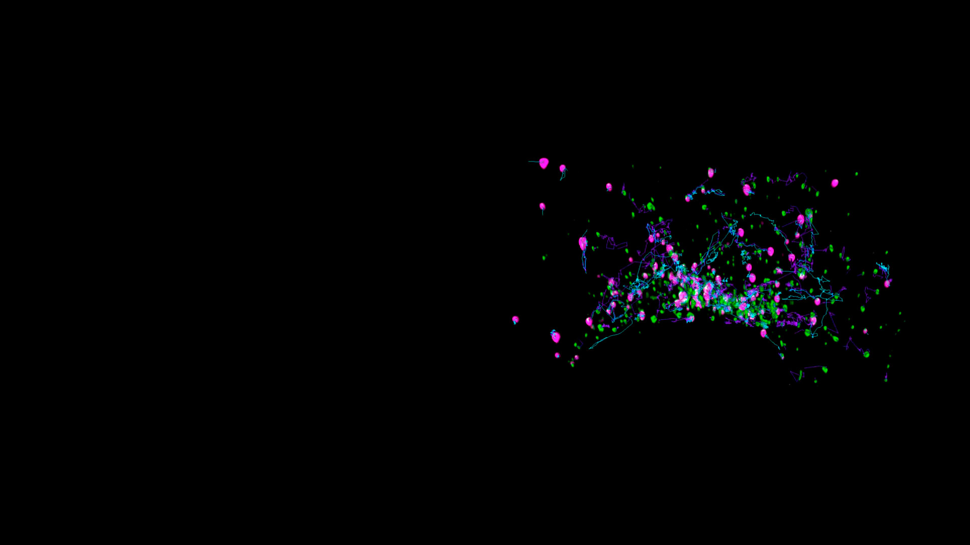 From Image to Results | Vesicle Trafficking