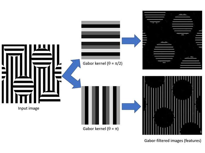 Diagram showing ain Input Image (Gabor Features) extracted from a synthetic image showing horizontal nd vertical aligned objects, transformed through Gabor kernels at angles π/2 and π, resulting in two Gabor-filtered images with distinct features.
