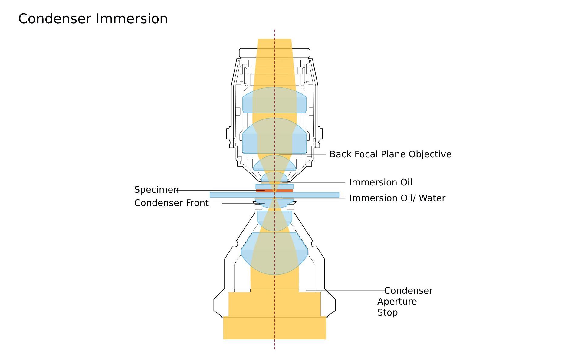 Diagram of a condenser immersion system in microscopy, showing components like the specimen, immersion oil, and lenses