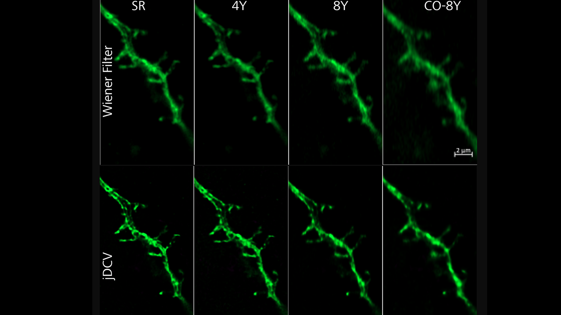 Airyscan Joint Deconvolution