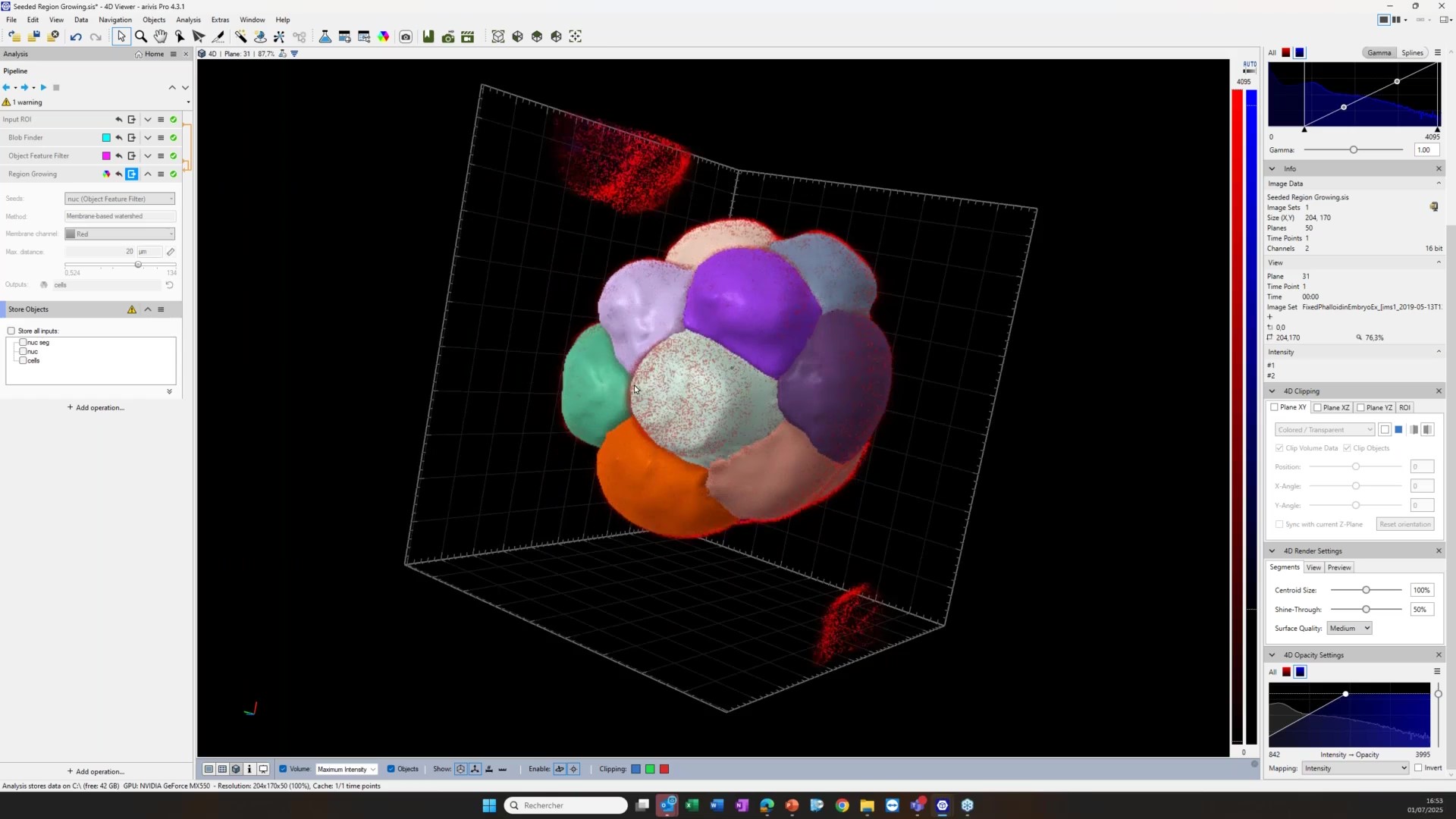 Analyse d'images ZEISS arivis en Pharma Biotech