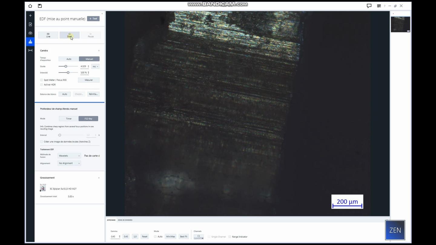 Réaliser une Acquisition 2D avec ZEISS ZEN Core