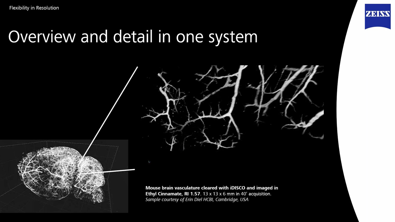 Discover a New Light Sheet Microscope for Multiview Imaging of Living and Cleared Specimens