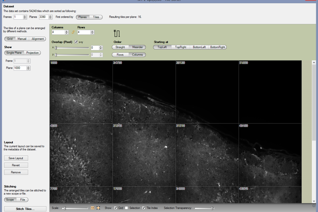 The ZEISS arivis Pro Tile Sorter Window