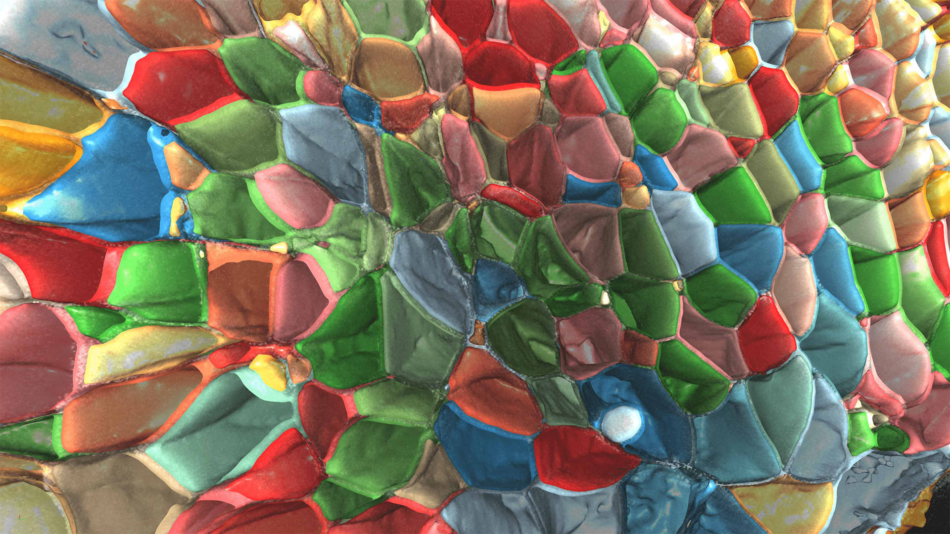 Membarne-based segmentation