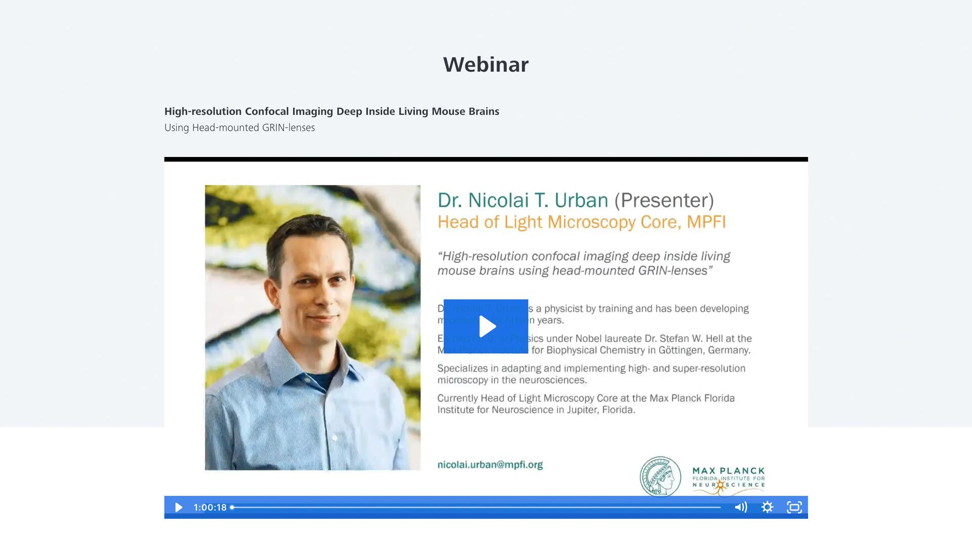 Image excerpt from the webinar High-resolution Confocal Imaging Deep Inside Living Mouse Brains