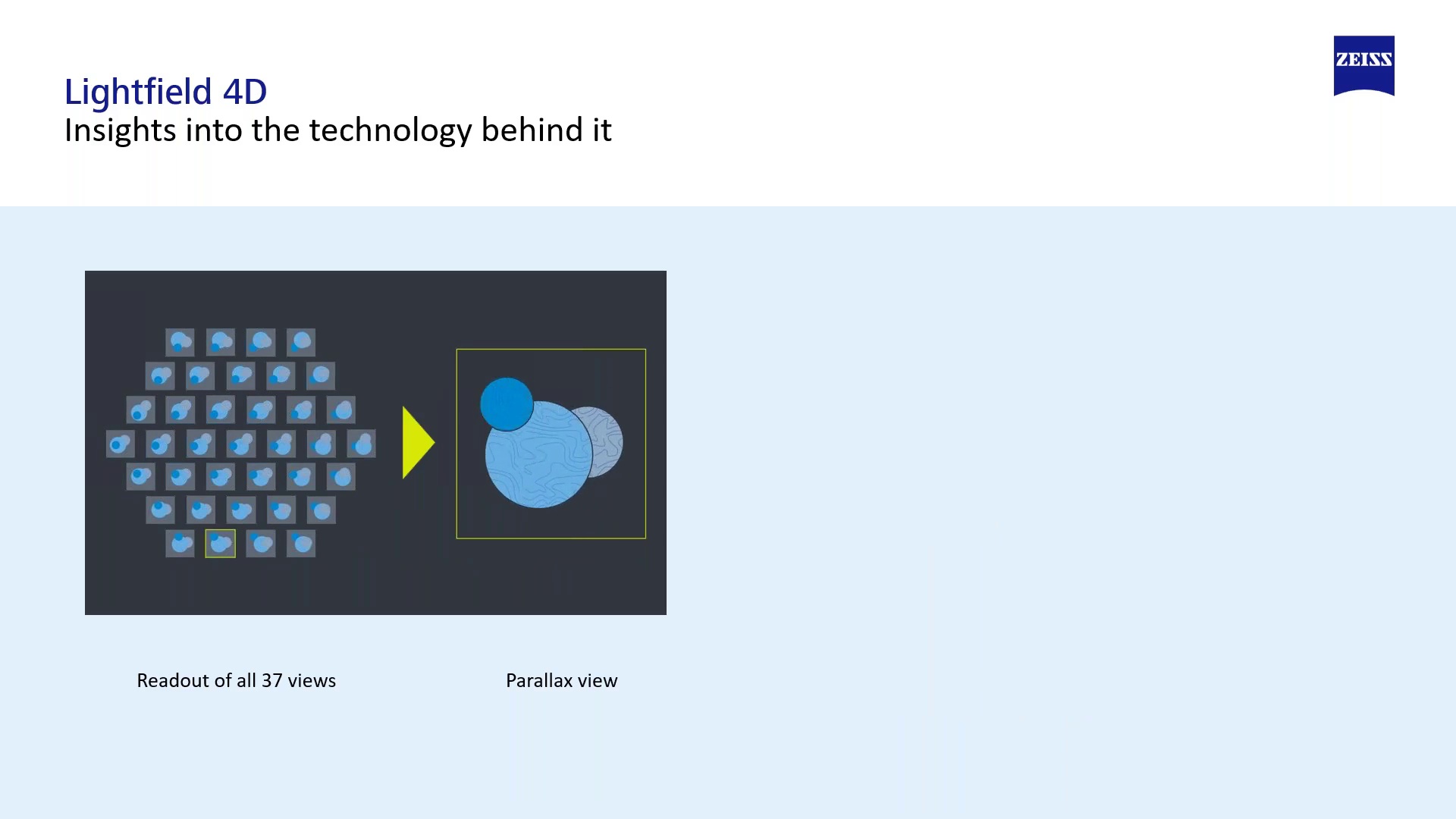 Image excerpt from the webinar Lightfield 4D