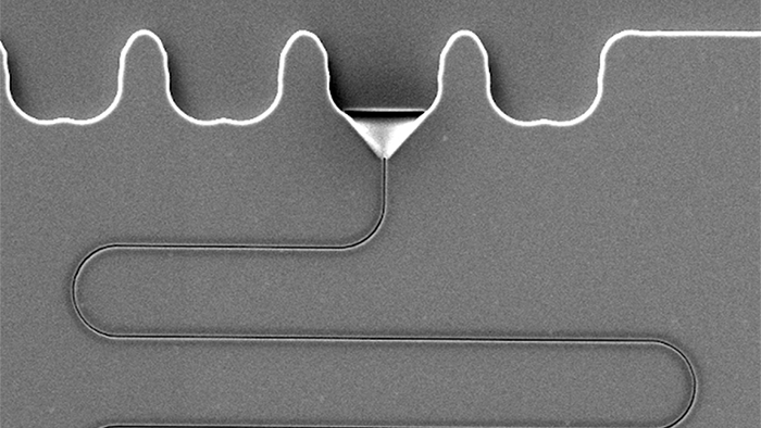 Fabrication and Characterization of Nanofluidic Devices for DNA Optical Mapping with ZEISS Crossbeam