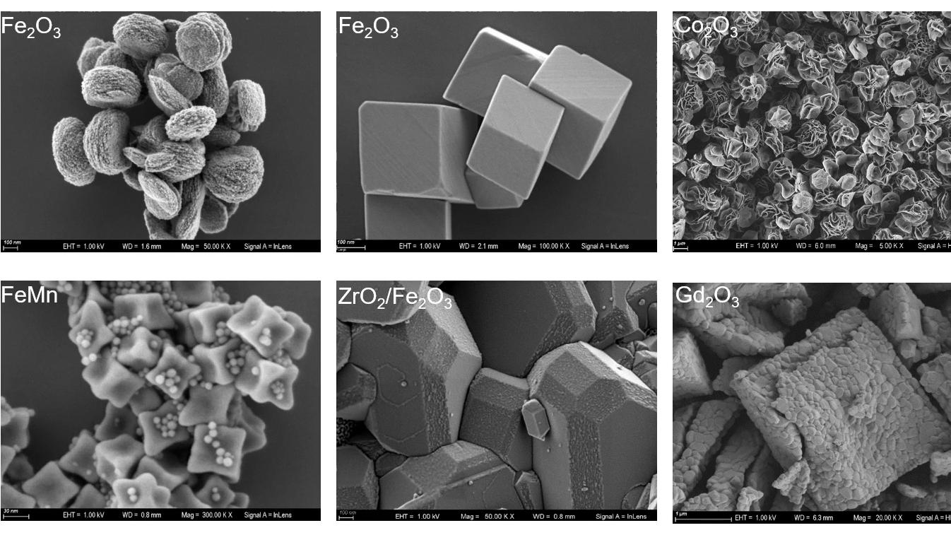 Imaging Magnetic Samples Using ZEISS FE-SEM