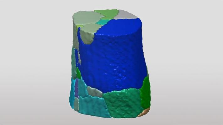 Microscopy of Biological Materials for Bioinspired Design