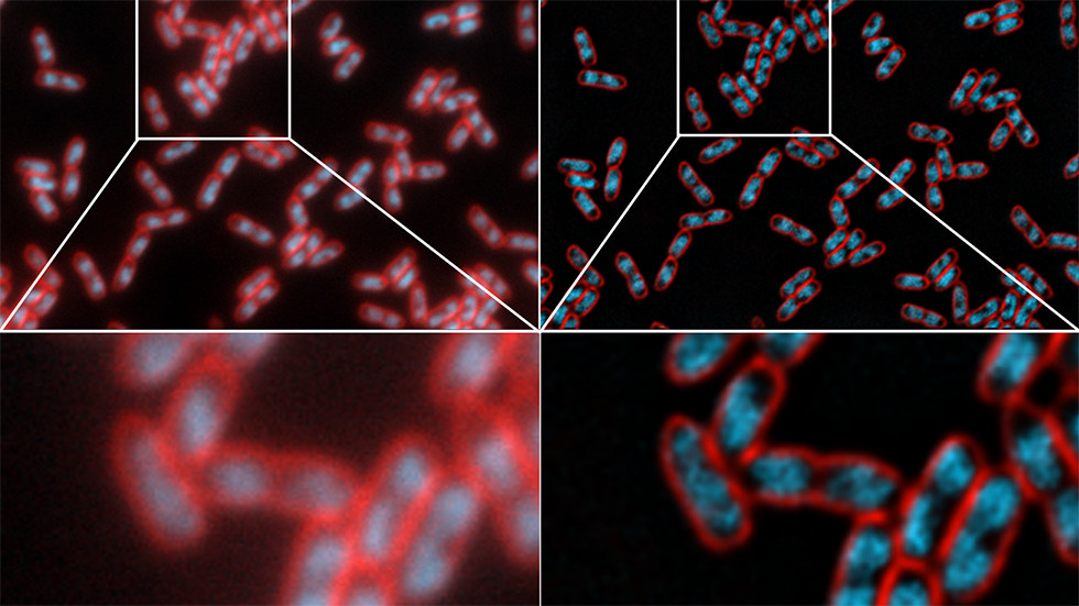 Deconvolution: Basics and Practice