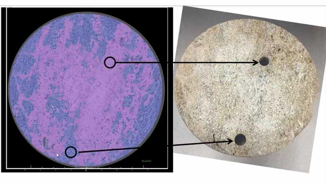 In Situ Episode 6: Whole Core Characterization – Multi-Scale Methods & In Situ