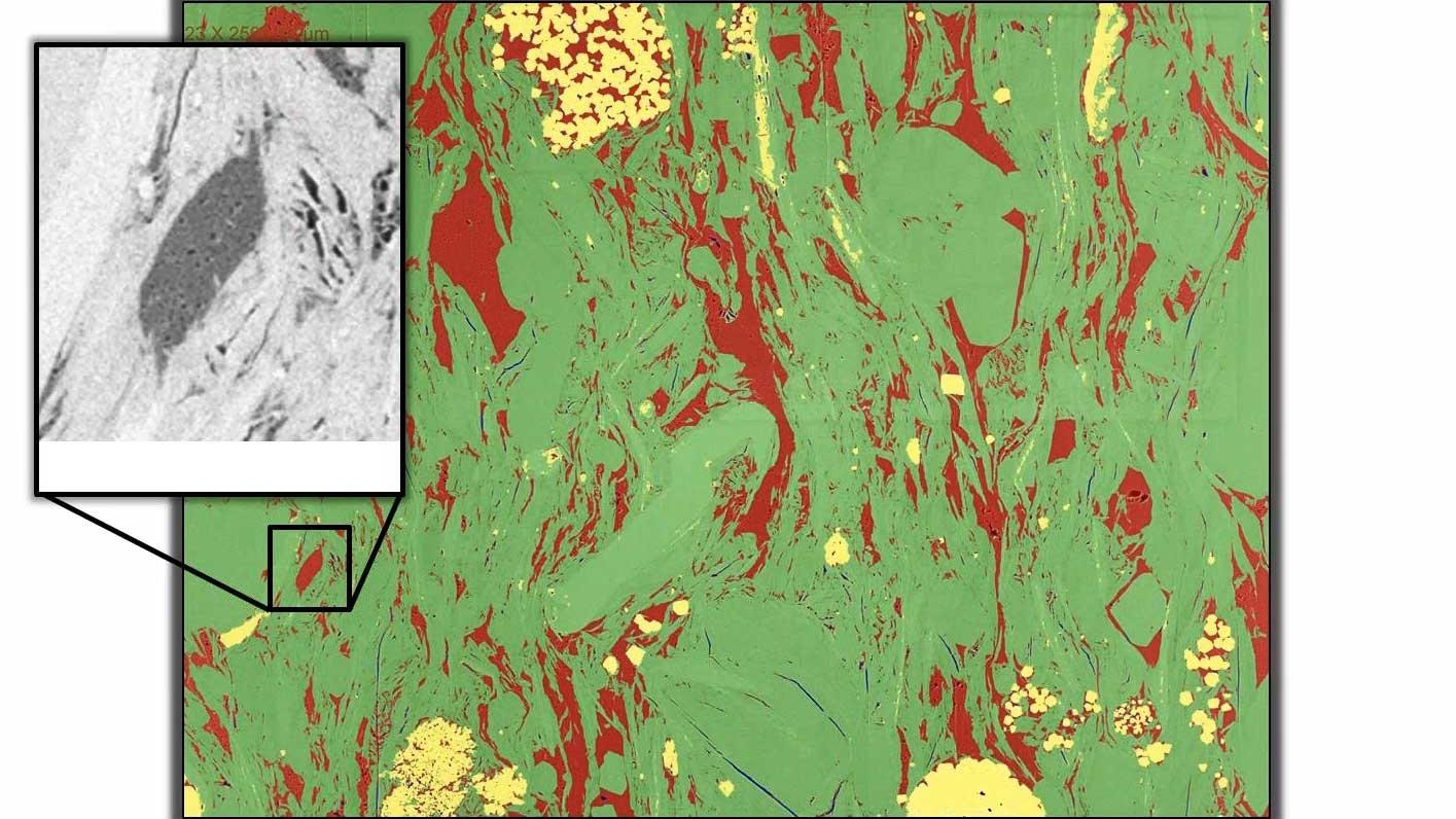 Bursting the Bubble on Kerogen-based Digital Rock Physics