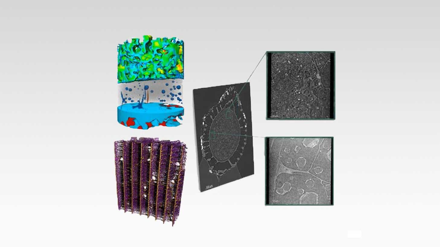 Nanoscale 3D X-ray Imaging for the Laboratory with ZEISS Xradia Ultra