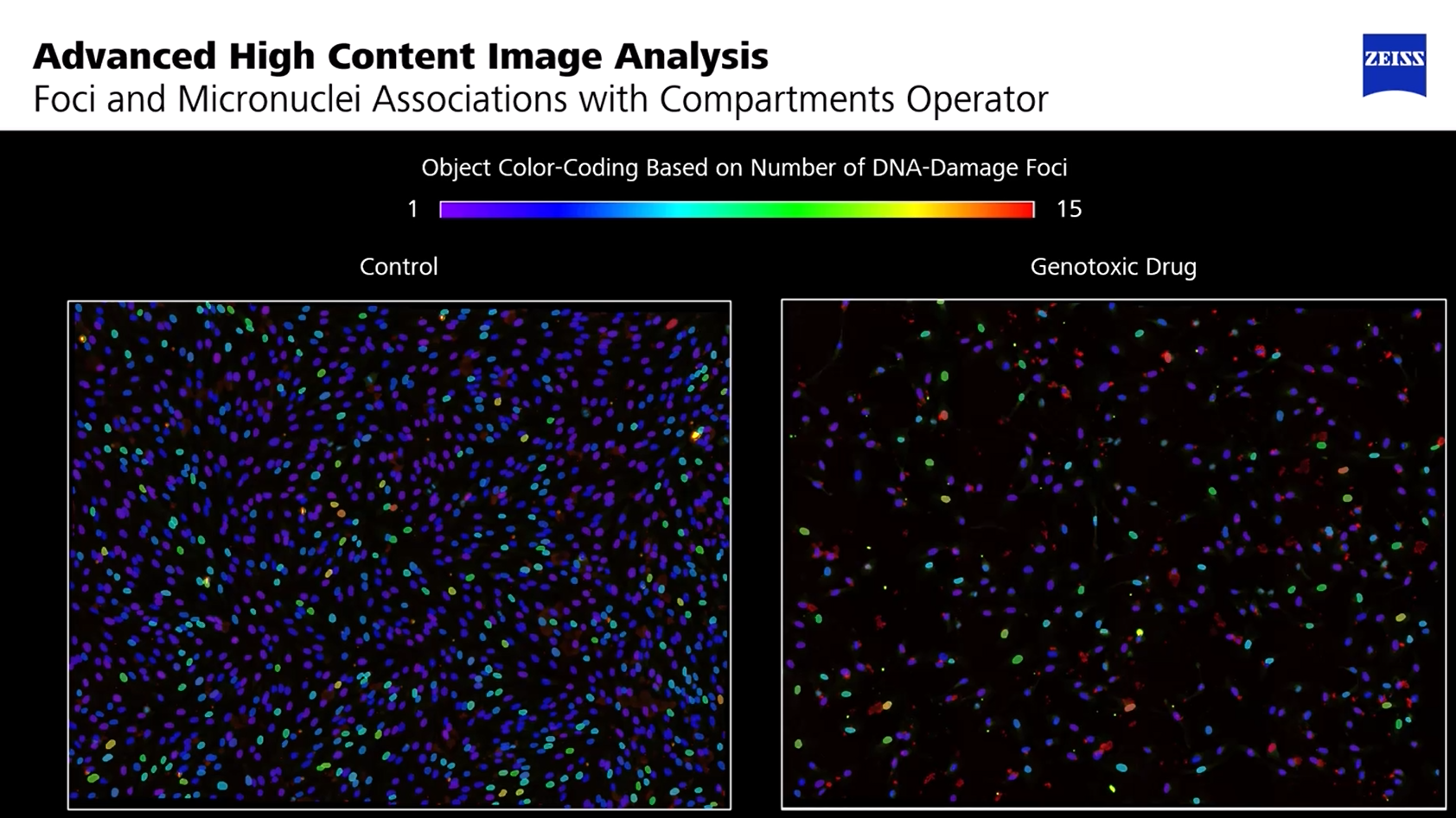 Image excerpt from the webinar  High Content Analysis for Genotoxicity