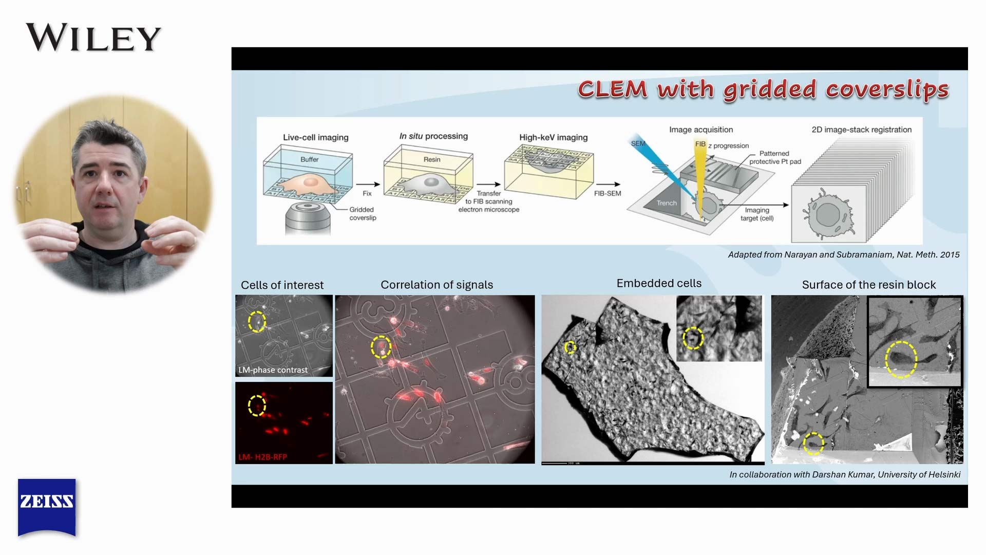 Webinar thumbnail: Exploring Cellular Structures with FIB-SEM Isotropic