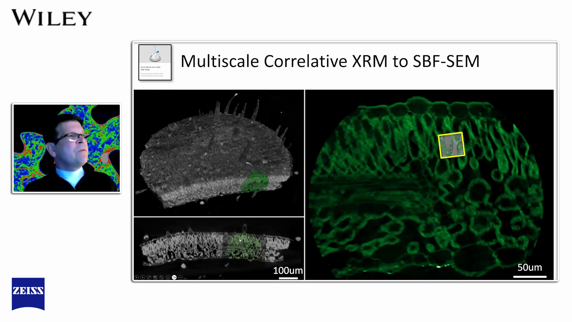 Webinar thumbnail: An Introduction to Volume EM