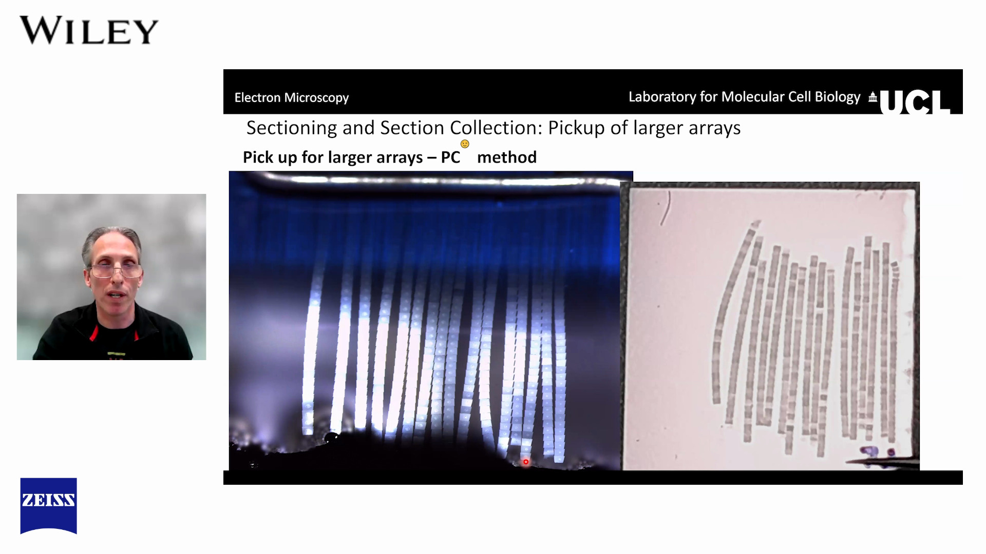 Webinar thumbnail: Array Tomography