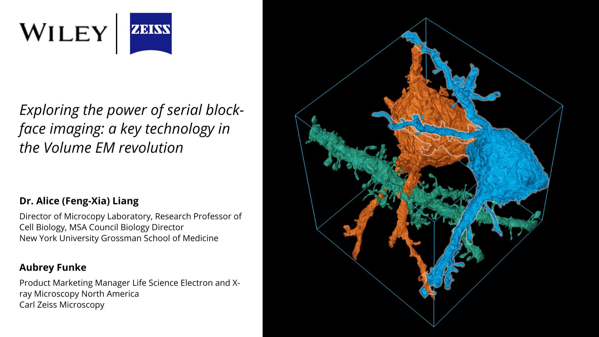 Webinar: Exploring the Power of Serial Block-Face Imaging