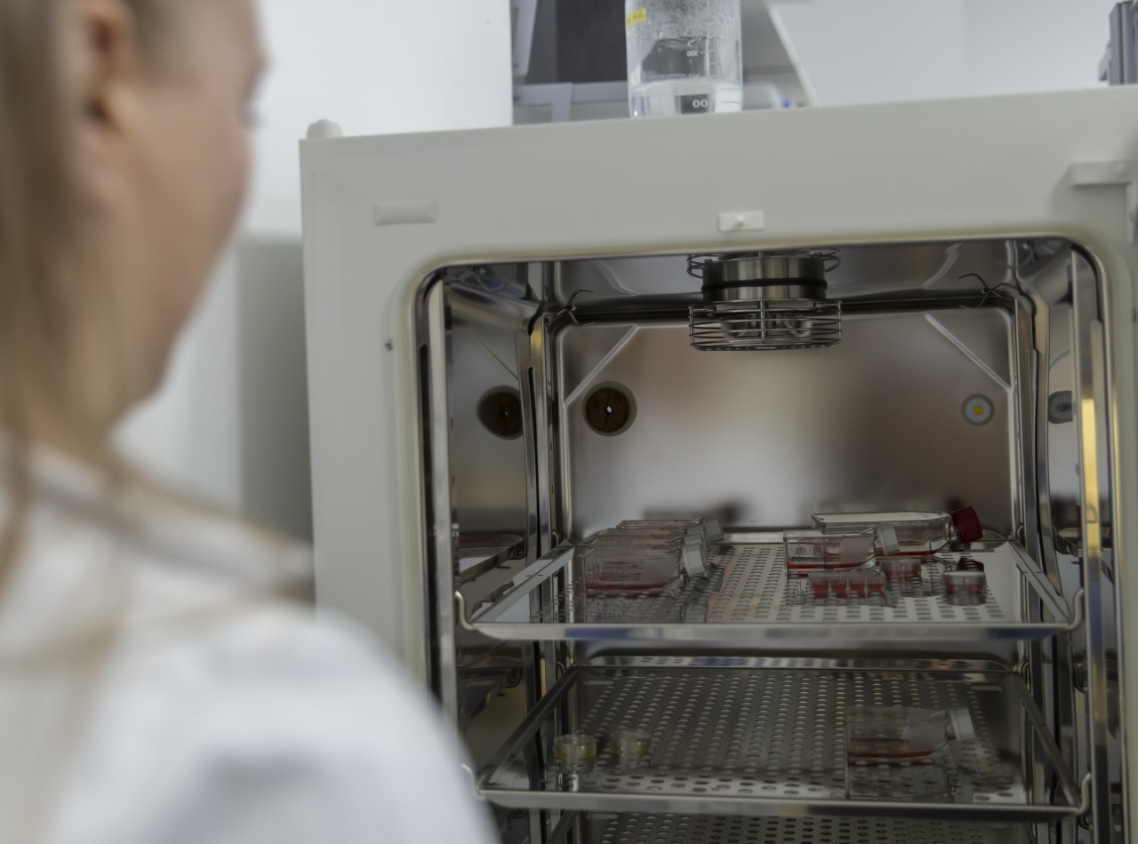 Katja Krannich - Taking the cell culture out of the incubator