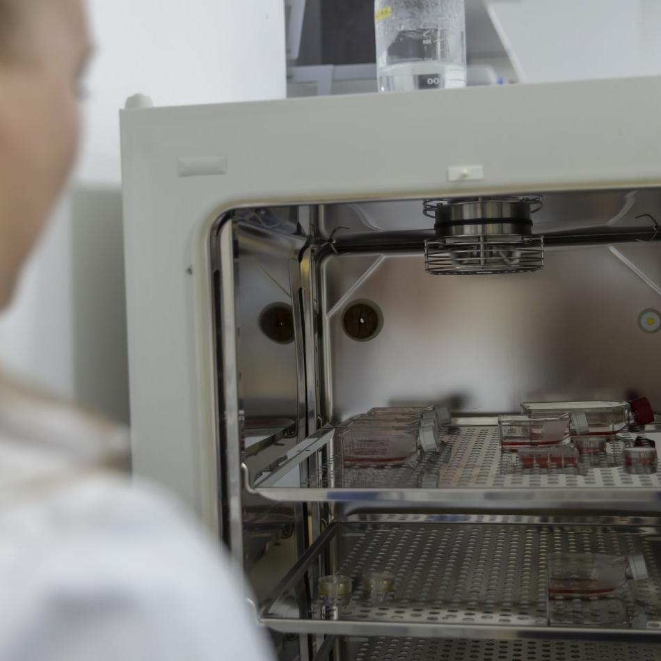 Katja Krannich - Taking the cell culture out of the incubator