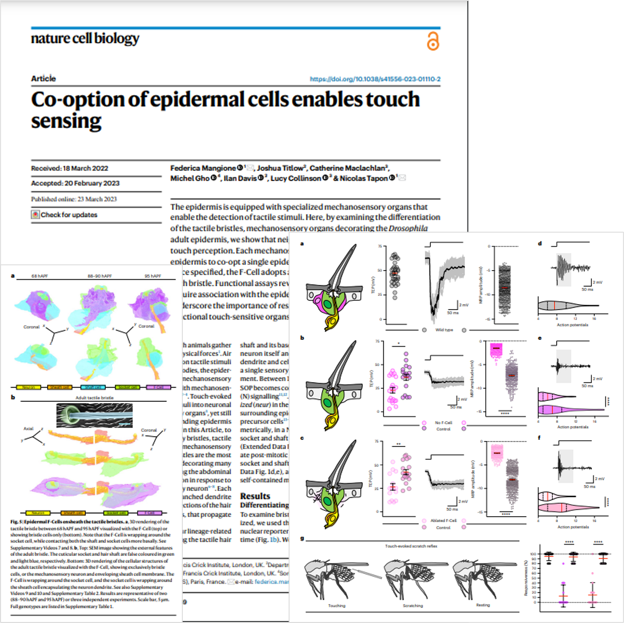 Research team with pages from their publication in eLIFE