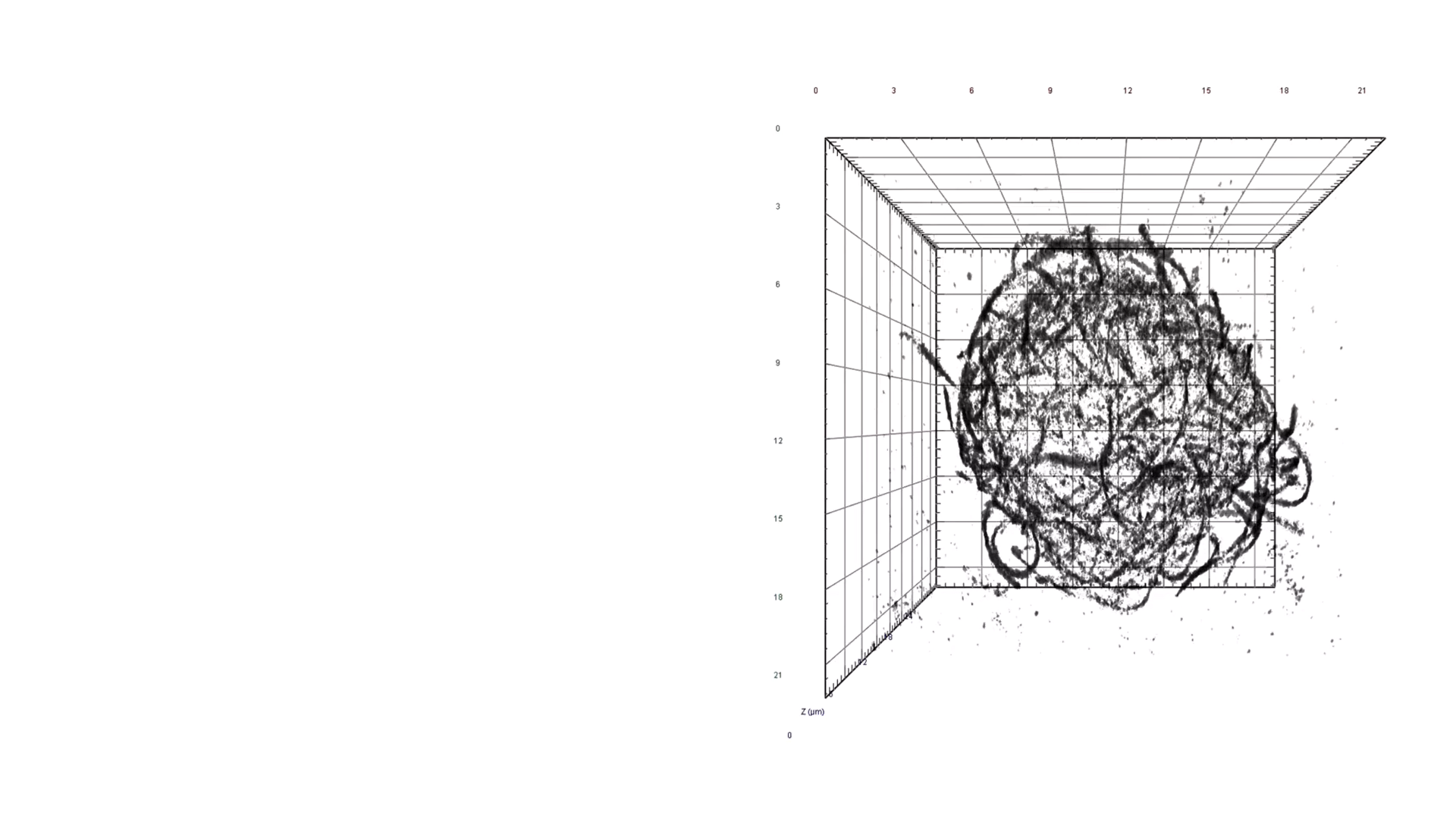 3D reconstruction of the microtubule cytoskeleton in a whole Jurkat cell (immortalized human T lymphocyte) using single molecule localization data from lattice light-sheet microscopy
