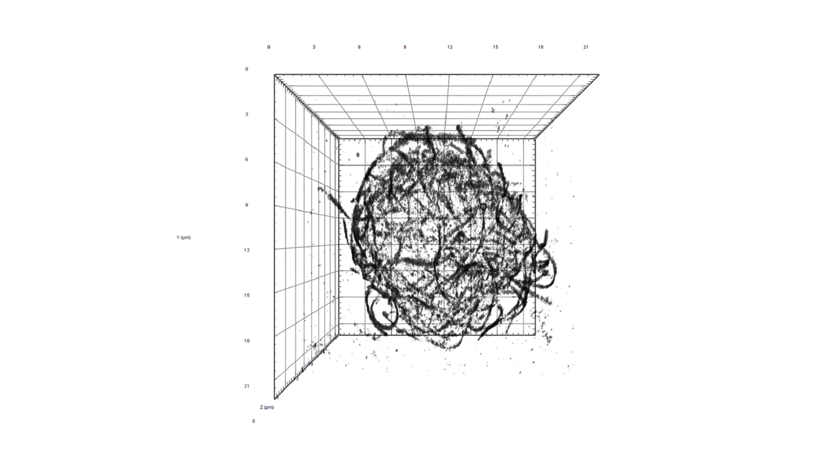 3D Superresolution Mapping Reveals Microtubule Dynamics
