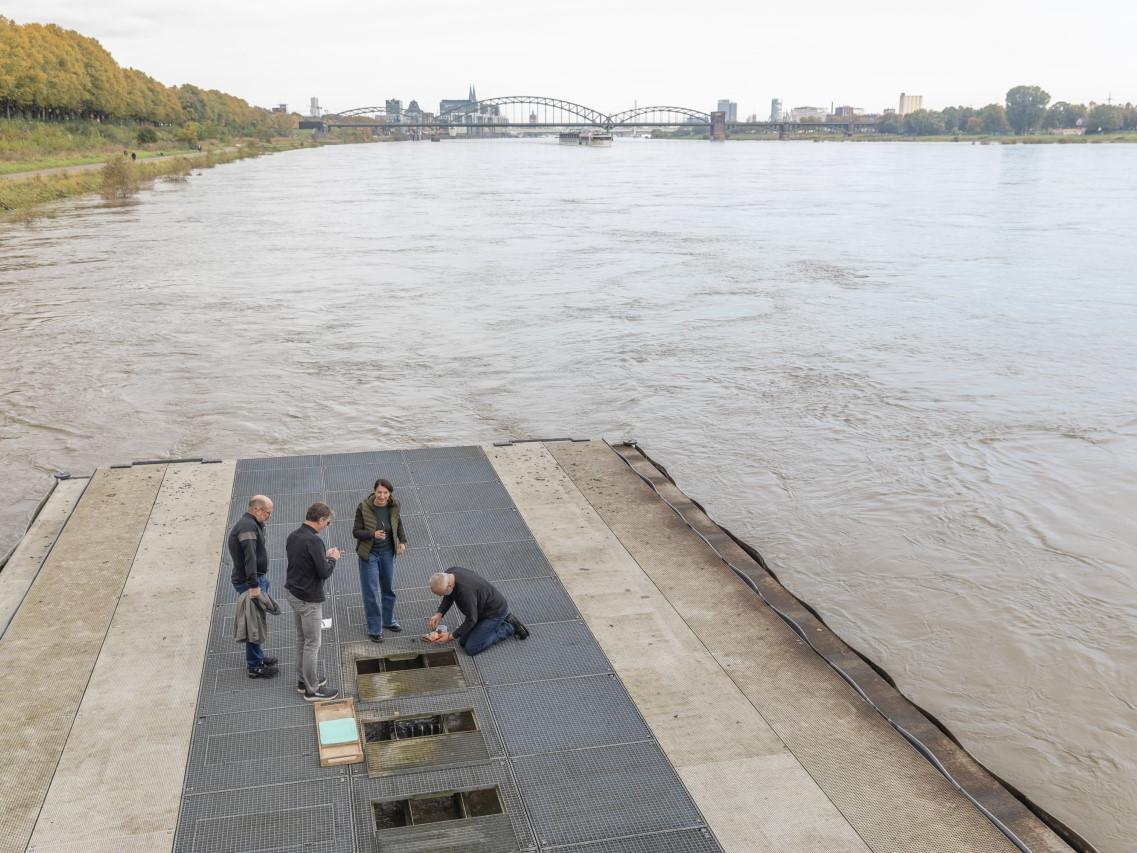 Ecological Rhine Station of the University of Cologne