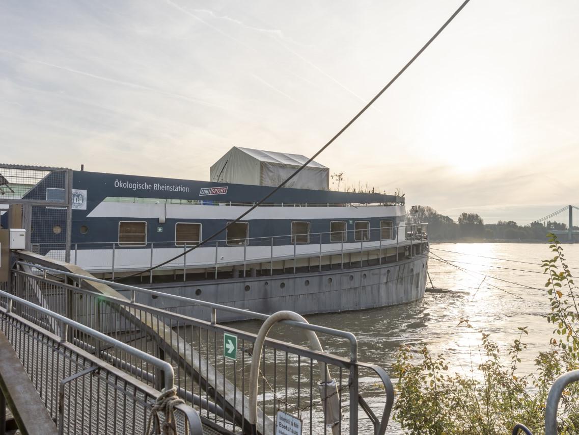 Ecological Rhine Station of the University of Cologne