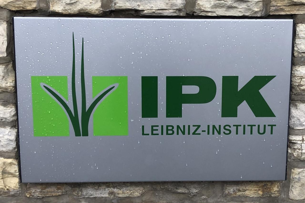 IPK Gatersleben