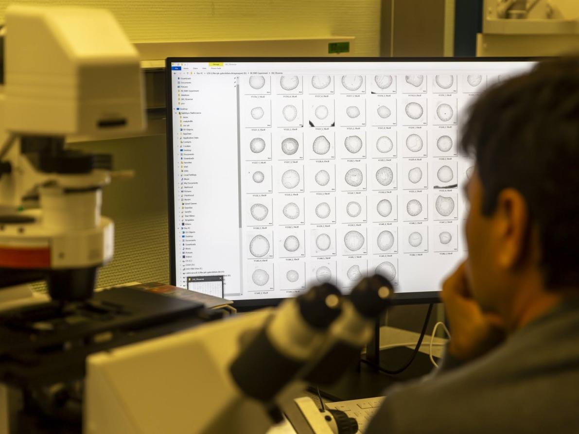 Crop Research with light microscopy at IPK Gatersleben