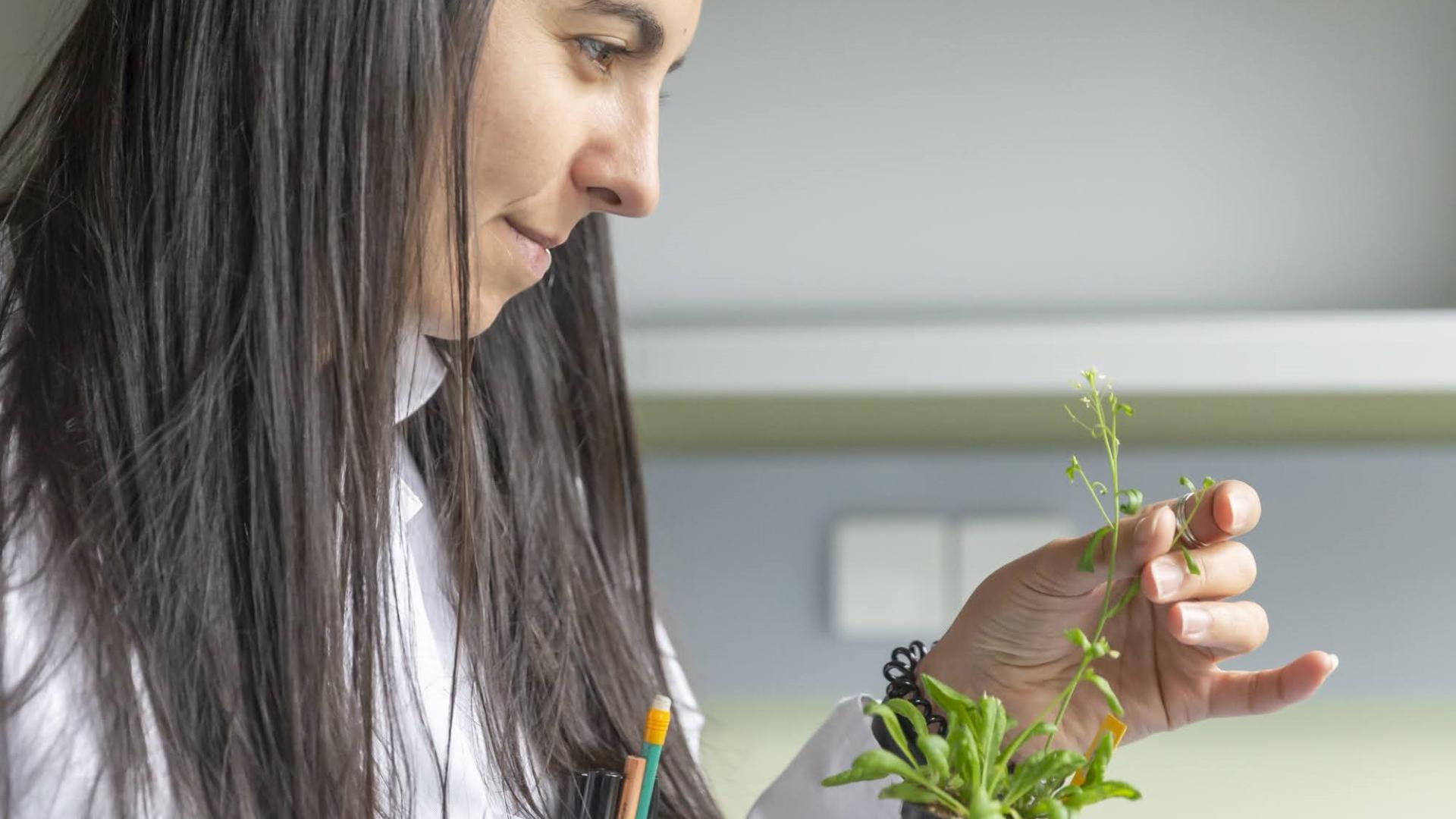 Maria Cuacos | Crop Research at IPK Gatersleben